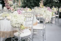 Прозрачные  стулья "КЬЯВАРИ" для вашей свадьбы
